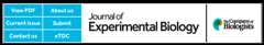 The Journal of Experimental Biology logo