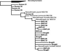 FIG. 3.