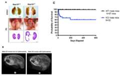 Figure 2—figure supplement 2.