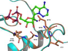 Extended Data Figure 3