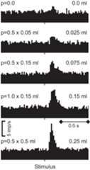 FIGURE 26.