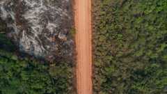 Rendite für den Regenwald – kann das funktionieren? - Adriano Machado / REUTERS