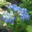 aria_bach aria_bach