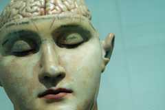 Sex Differences in Cognition