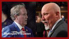 Chip Roy announces run to replace Ken Paxton as Texas attorney general