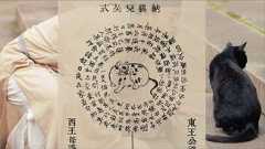 截屏2025-11-14 下午6.15.44