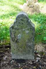 Donald McIntosh Donald McIntosh