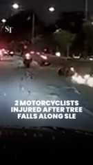 2 motorcyclists injured after tree falls along SLE