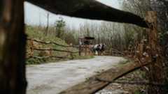 Horse Carriage at Ulster American Folk Park