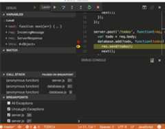 debug data inspection