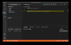 Run and Debug your Julia file