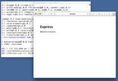 Your first Node Express App