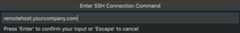 Remote Explorer SSH host input