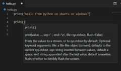 Python IntelliSense