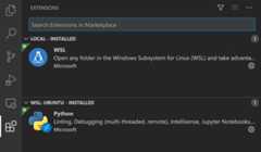 WSL installed extensions