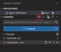 Screenshot of the Code Review button in the Source Control view.