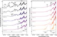 Figure 3. Refer to the following caption and surrounding text.