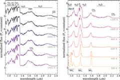 Figure 4. Refer to the following caption and surrounding text.