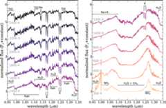 Figure 5. Refer to the following caption and surrounding text.