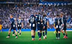 Unsere Herthaner bejubeln einen Treffer.