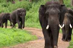 Our_Planet_II_S1_E4_00_01_59_16