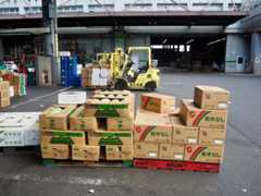 青果市場 集荷 フォークリフト