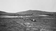 Empire Upon the Trails