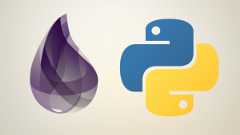 Python and Elixir Programming Bundle Course Python and Elixir Programming Bundle Course