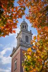 Swasey Chapel through the autumn leaves