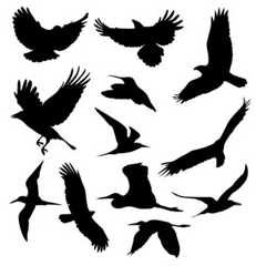free_vector_birds-1