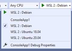 Switch Target Distributions in Visual Studio 2019 v16.9 Preview 1