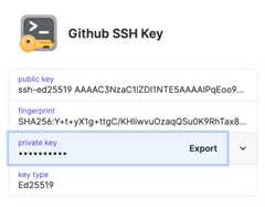 A GitHub SSH key item with the private key field highlighted to show the Export option.