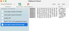 Clipboard expector on macOS showing a custom format map listing two web custom formats.