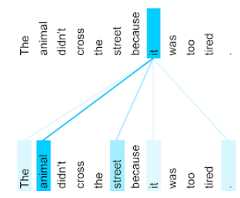 Figure 3. The relevance of each of the eleven words in the sentence: 'The animal didn't cross the street because it was too tired' to the pronoun 'it'. The word 'animal' is the most relevant to the pronoun 'it'.
