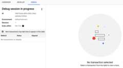 Debug session in progress
