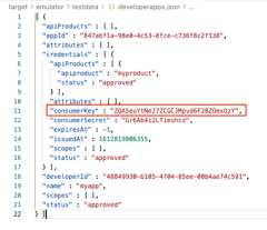 Developer apps with the consumerKey value highlighted.