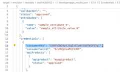 Developer apps with the consumerKey value highlighted.