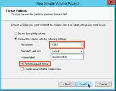 Selecting the partition format type in the New Simple Volume Wizard.