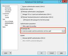 Setting the private key file to my-ssh-key.ppk in the Advanced Site Settings dialog.