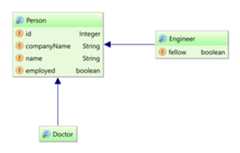 Entity class diagram