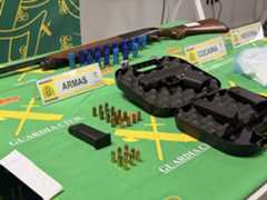 Varias de las armas decomisadas.