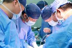 Cirujanos trabajan en un hígado de cerdo genéticamente modificado.