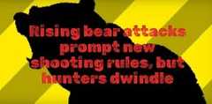 FOCUS: Rising bear attacks prompt new shooting rules, but hunters dwindle