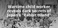FEATURE: Wartime child worker reveals dark secrets of Japan's "Rabbit Island"