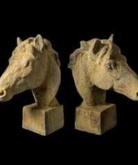 Horse Head EG018
