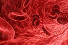 Ilustração de células do sangue