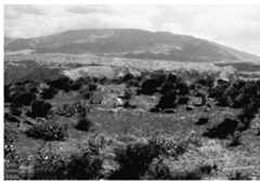 Figure 5. Rabat III. General view of the Necropolis.