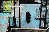 Une image prise le 7 octobre 2025 par une caméra de surveillance montrant un ours noir dans un supermarché, dans la préfecture de Gunma, au nord de Tokyo.