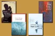 « Ce qui luit dans les ténèbres », « la Folie Océan », « Nager sa vie, journal d’un nageur », « l’Etrange Tumulte de nos vies ».