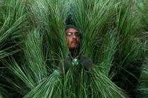 Sur scène, un figurant pendant la prestation de Bad Bunny à la mi-temps du Super Bowl.